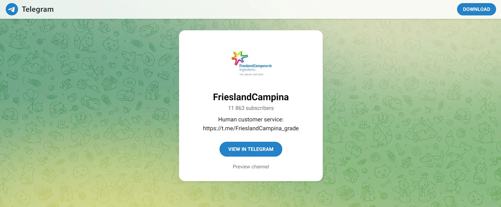 Обзор финансовой пирамиды FrieslandCampina Обзор финансовой пирамиды FrieslandCampina