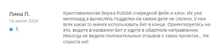 Pullsbit отзыв пользователя Pullsbit отзыв пользователя