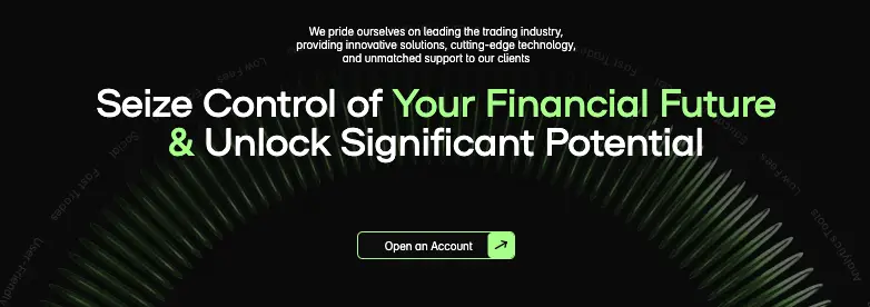 Rise Spark Solution инфо о брокере обзор на Rise Spark Solution