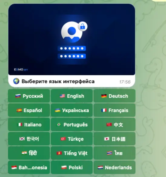 EXMO NFT инфо о проекте обзор на EXMO NFT