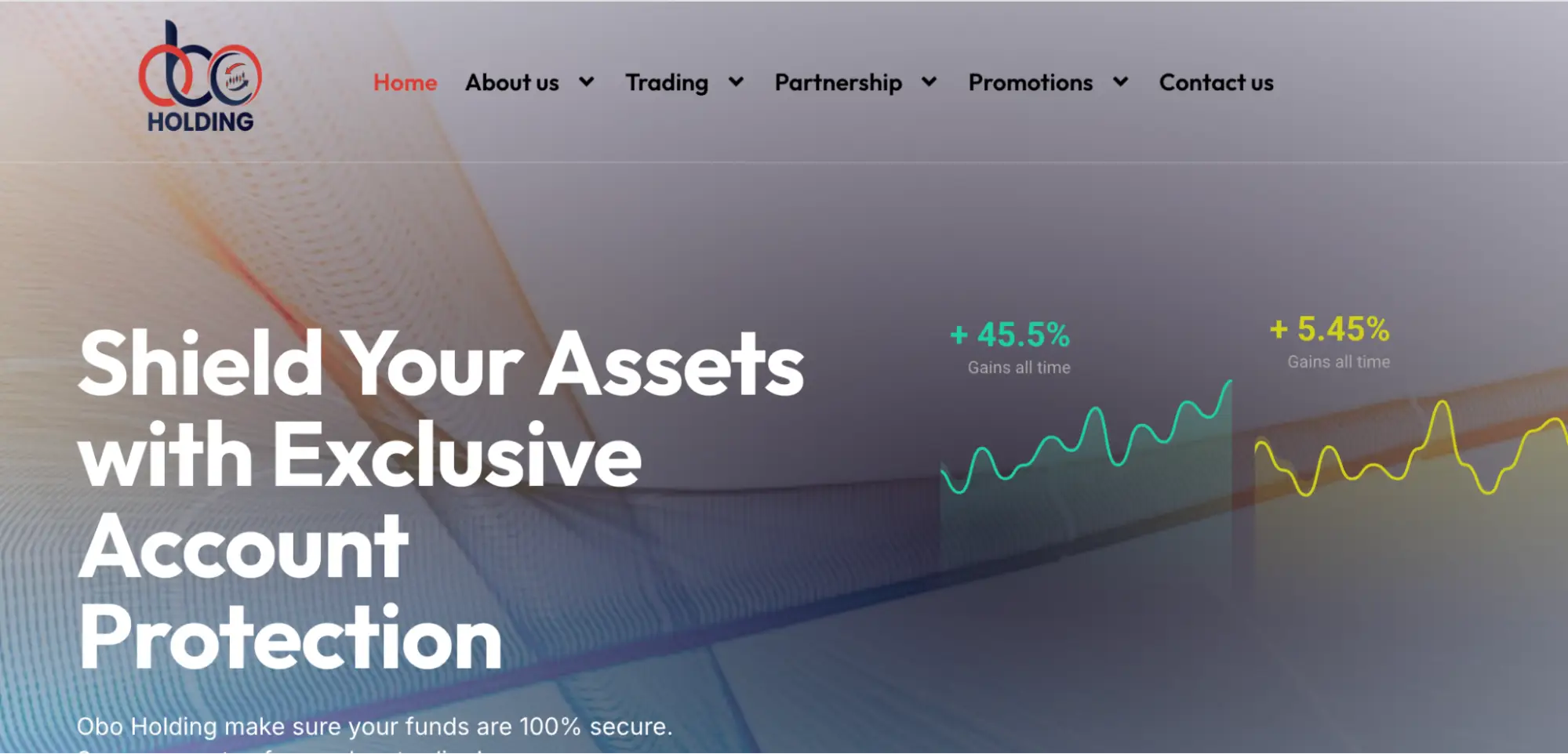 обзор OBO Holding Ltd OBO Holding Ltd обзор