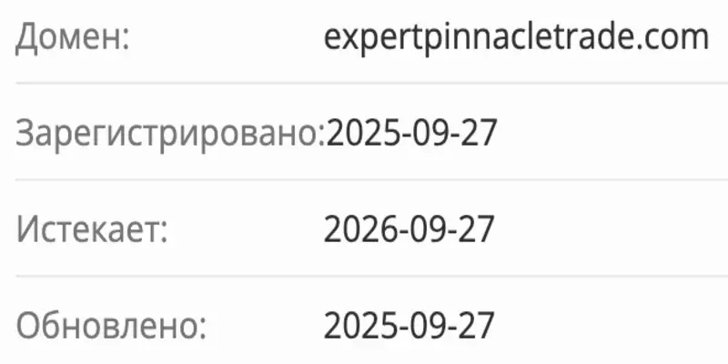 Expert Pinnacle Trade домен домен Expert Pinnacle Trade