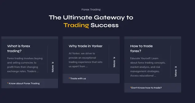 Yorker Capital Markets обзор информация о Yorker Capital Markets