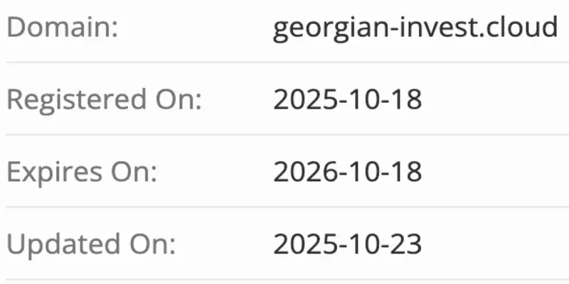 Georgian Invest домен домен Georgian Invest