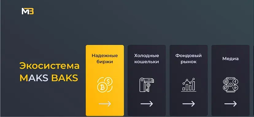 Обзор Инфоцыгана Max Baks Обзор Инфоцыгана Max Baks