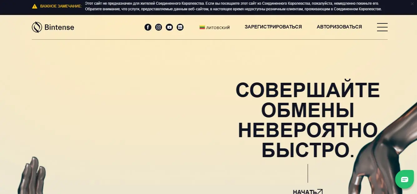 Основная информация о Bintense