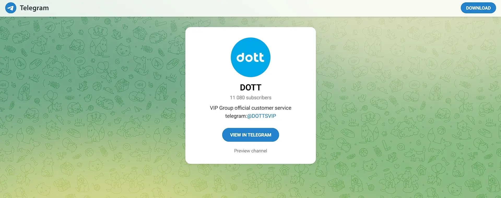 Обзор компании DOTT Обзор компании DOTT