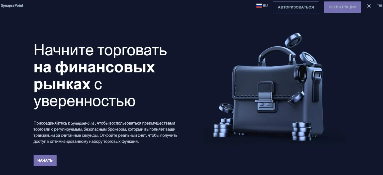 SynapsePoint обзор обзор SynapsePoint