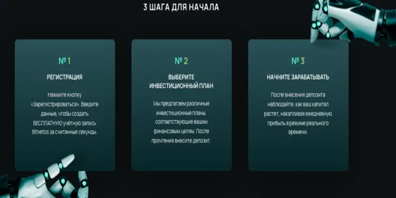 Bitvetos обзор условий что известно? Bitvetos