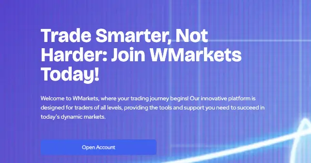 WMarkets информация обзор на WMarkets