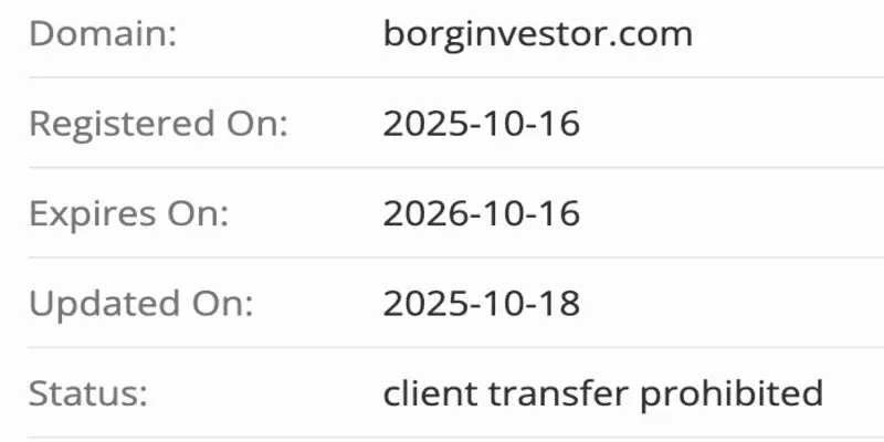 BorgInvestor домен домен BorgInvestor