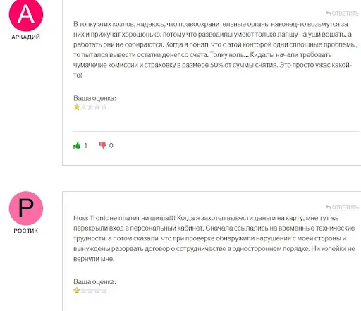 Hoss Tronic (Хосс Троник) отзывы Hoss Tronic (Хосс Троник) отзывы