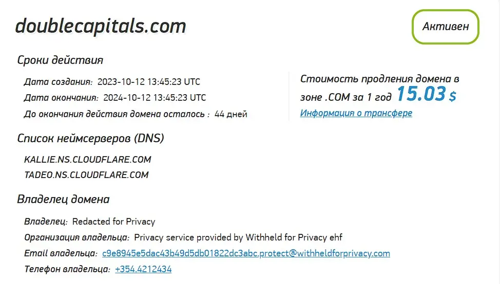Проверка домена doublecapitals.com