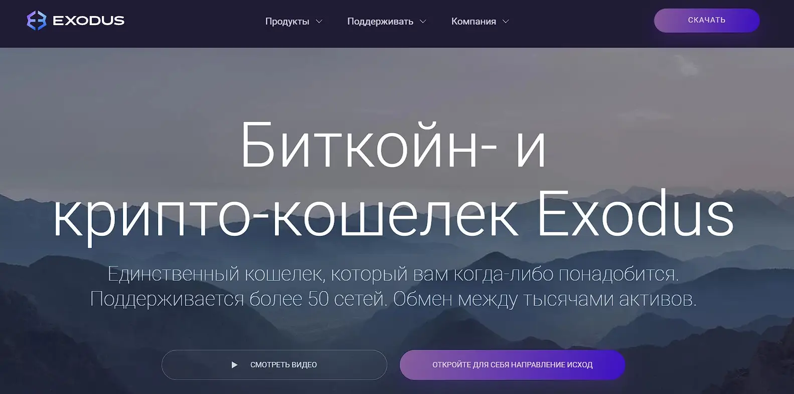 Обзор криптокошелька Обзор криптокошелька