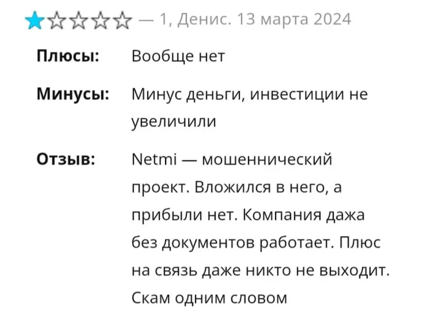 Отзыв о Netmi Отзыв о Netmi