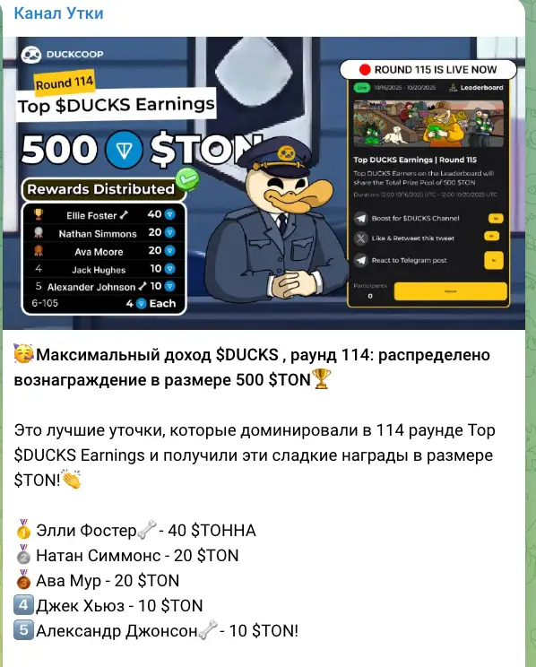 DUCKS обзор платформы информация о DUCKS