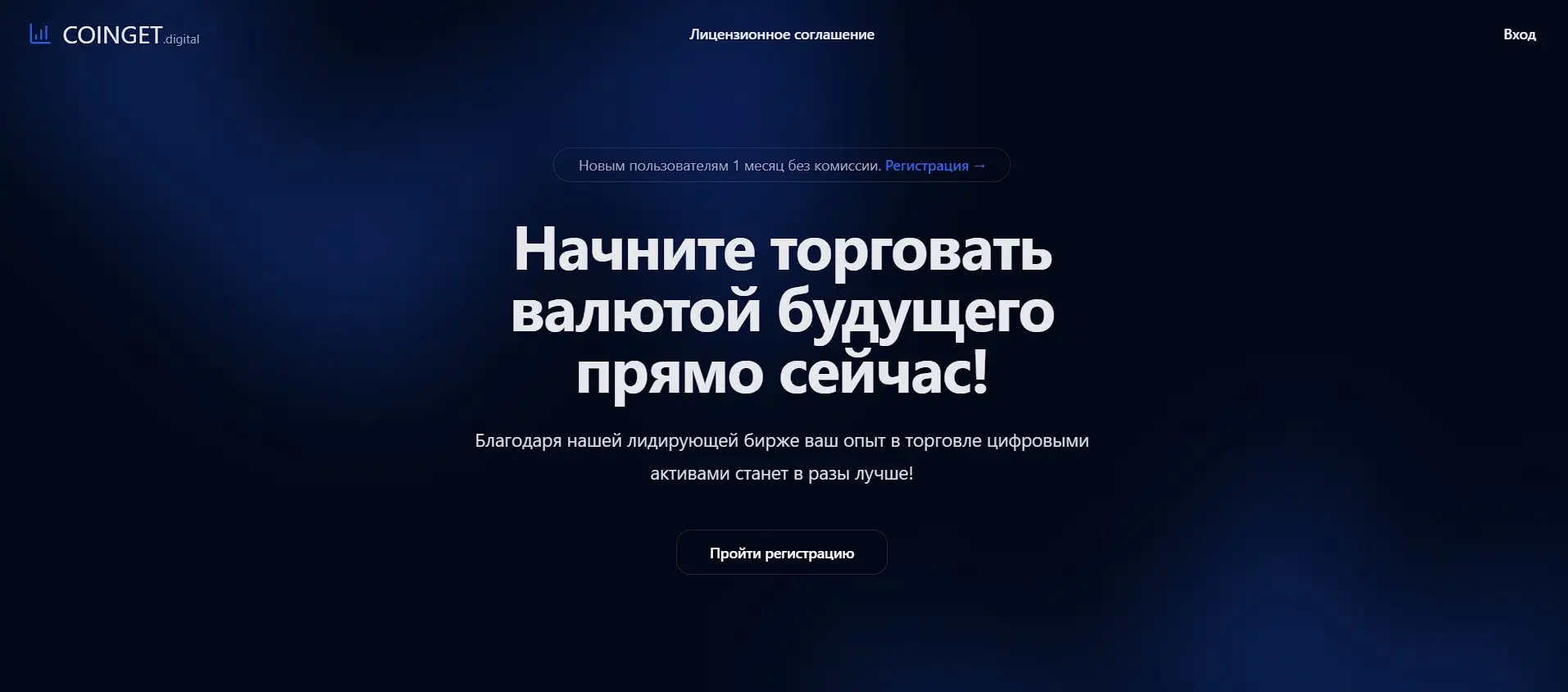 Основная информация о Coingett Основная информация о Coingett