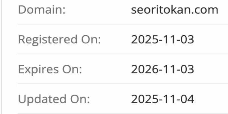 SeoriTokan домен домен SeoriTokan
