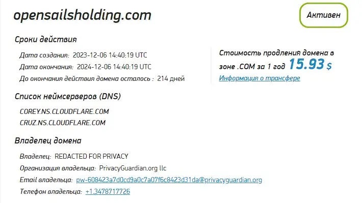 Проверка домена opensailsholding.com
