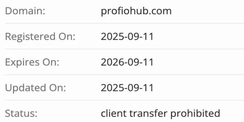 Profio Hub домен домен Profio Hub