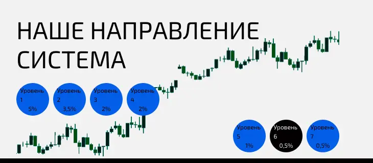 NobleXM инфо о проекте обзор на NobleXM