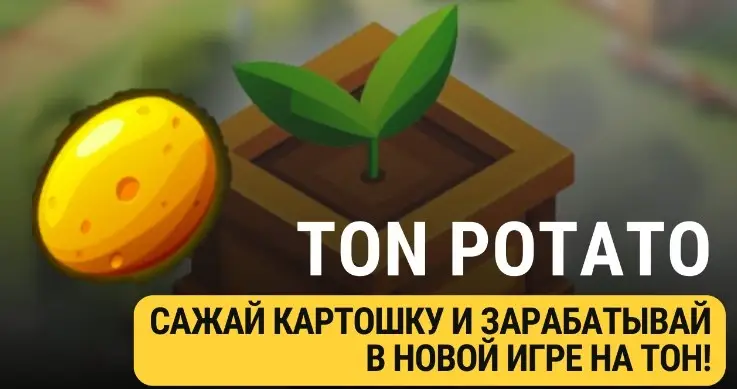 Данные о площадке Ton Potato Данные о площадке Ton Potato