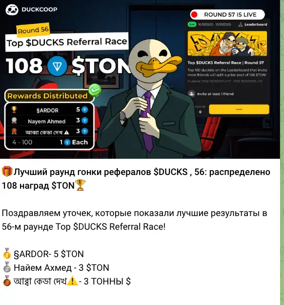 DUCKS инфо о сайте обзор на DUCKS