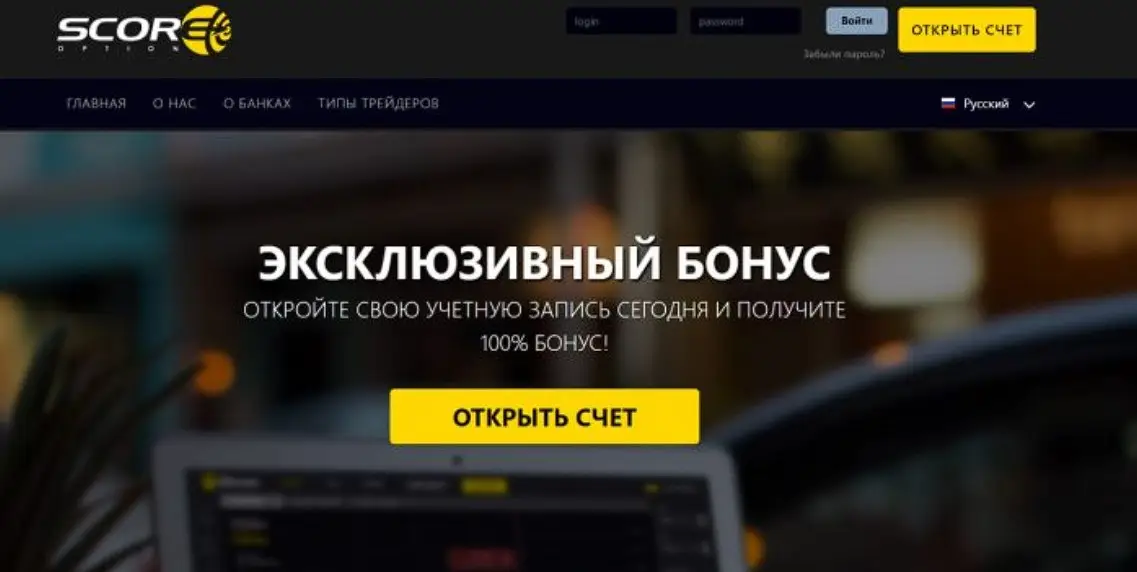 Основная информация о ScoreOption Основная информация о ScoreOption