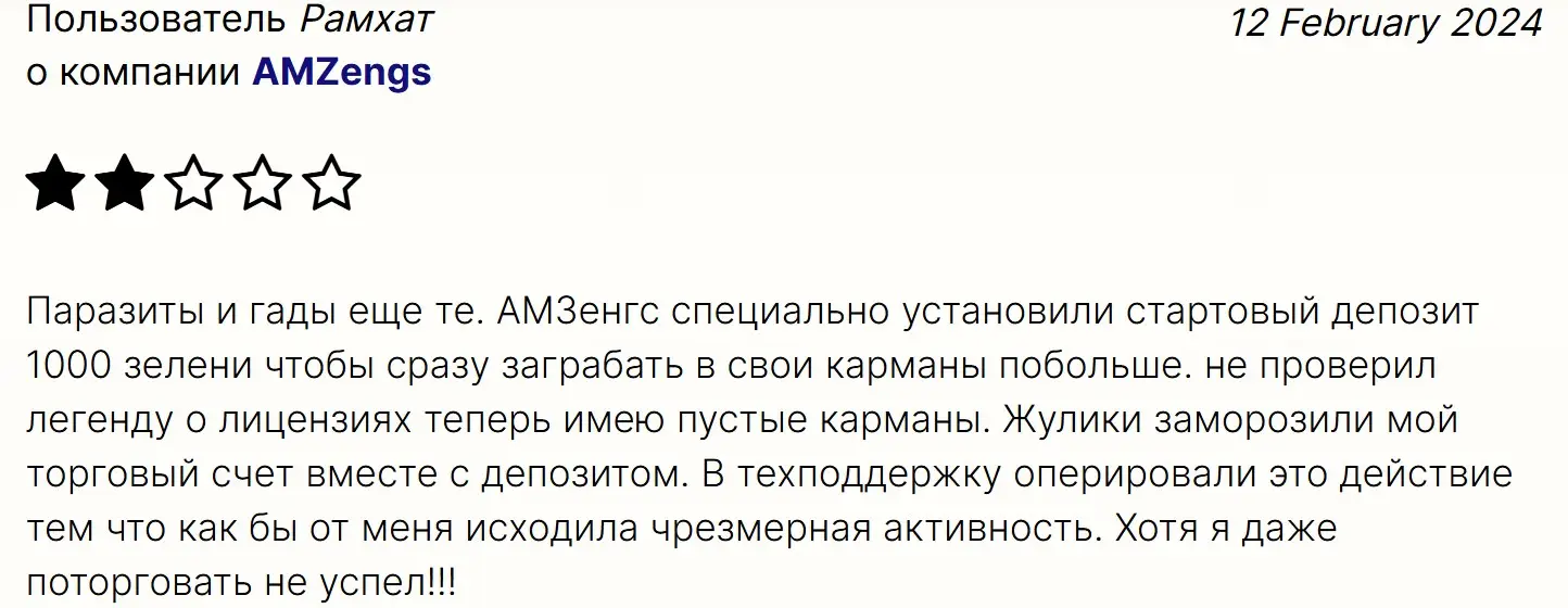 Отзыв пользователя о AM Zengs