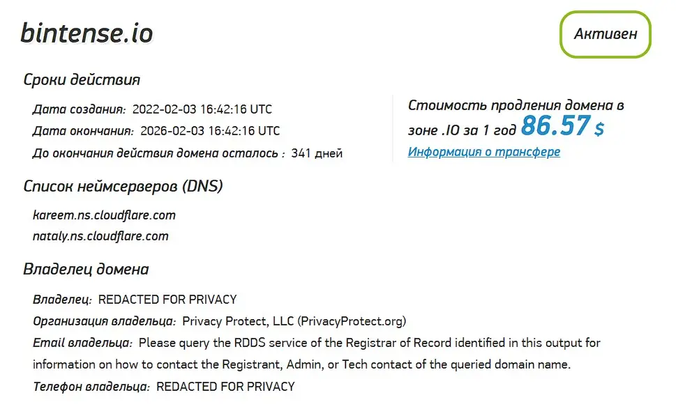 Проверка доменного имени bintense.io