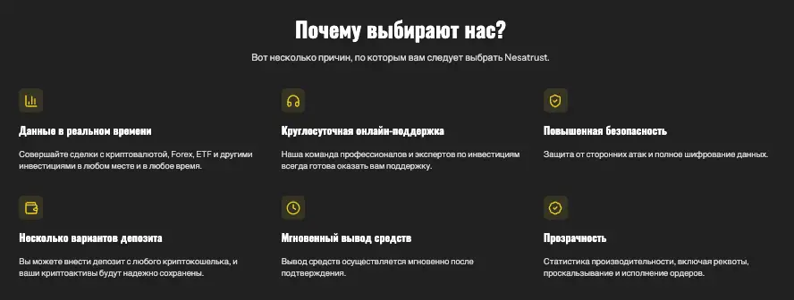 Nesa Trust обзор услуг что известно? Nesa Trust
