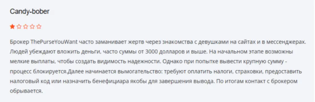 ThePurseYouWant отзыв отзыв клиента ThePurseYouWant