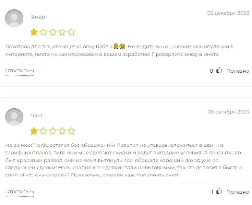 Hoss Tronic (Хосс Троник) Hoss Tronic (Хосс Троник)