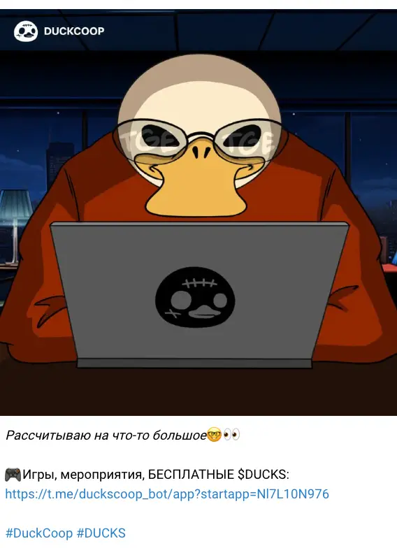 DUCKS обзор сайта инфо о проекте DUCKS