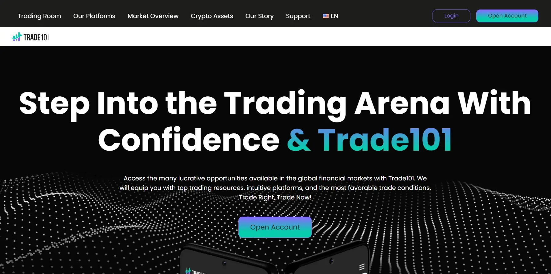 Обзор брокера Trade101 Обзор брокера Trade101