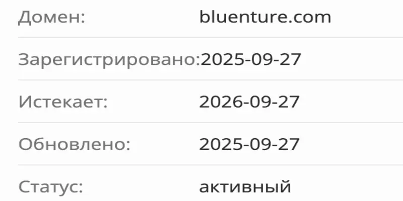Bluenture Investment Group домен домен Bluenture Investment Group
