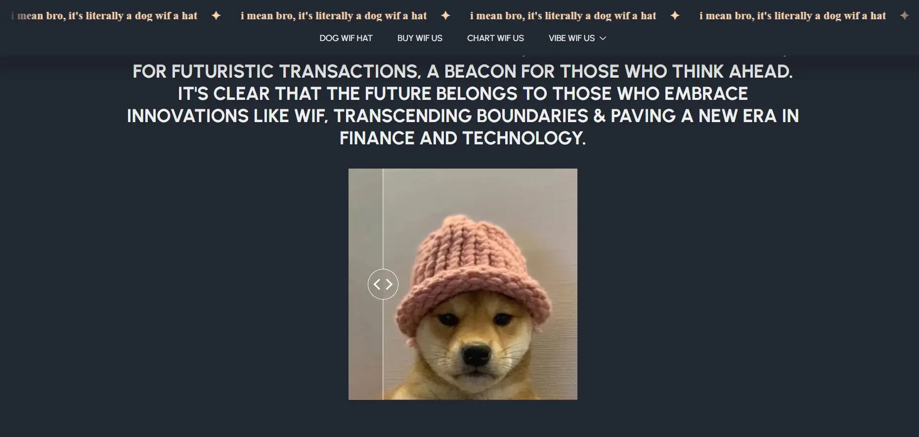 Обзор криптосервиса Dogwifhat