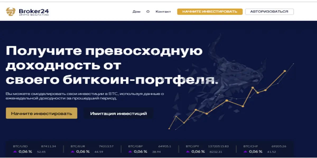 Broker24 обзор проекта информация о Broker24