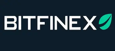 Обманули на Bitfinex, как вернуть деньги – все про действенные методы возврата