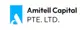 Amitell Capital 