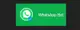 WhatsApp Bot (Ватсап Бот) 