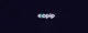 Exopip 