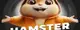 Hamster Kombat 