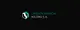 Landson Financial Holding SA 
