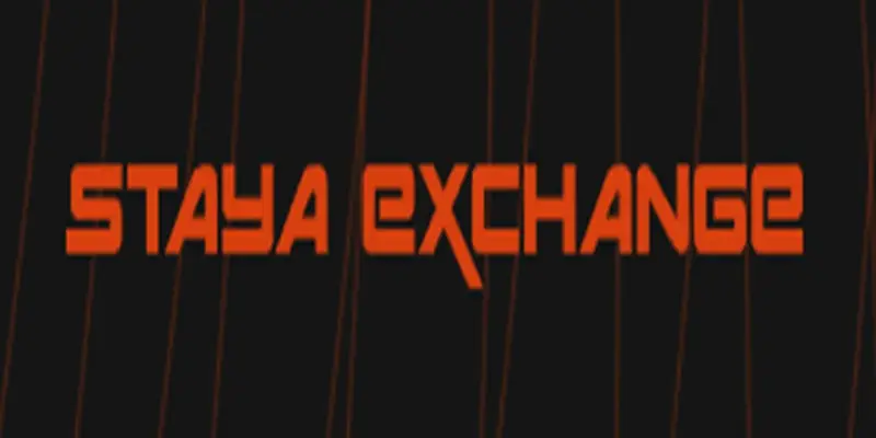 Staya Exchange — обменник или шанс потерять средства? Разбираем схемы обмана