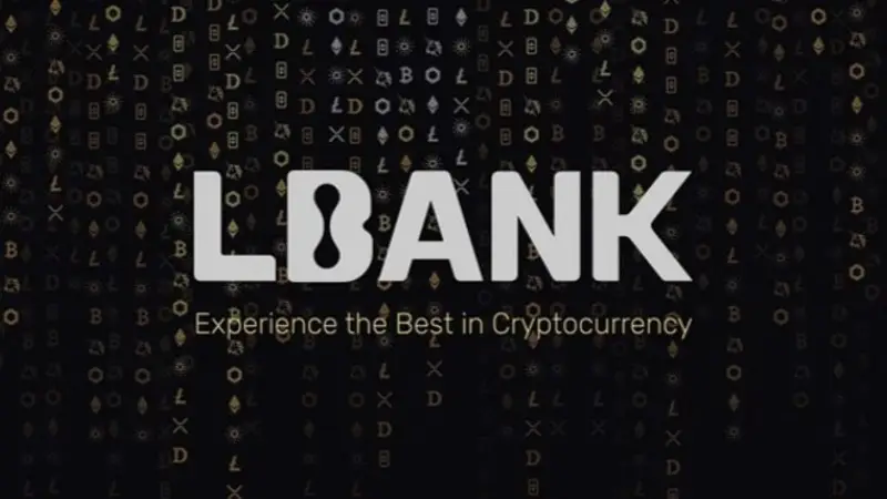 Обманули на LBank – как действовать, чтобы вернуть утраченное